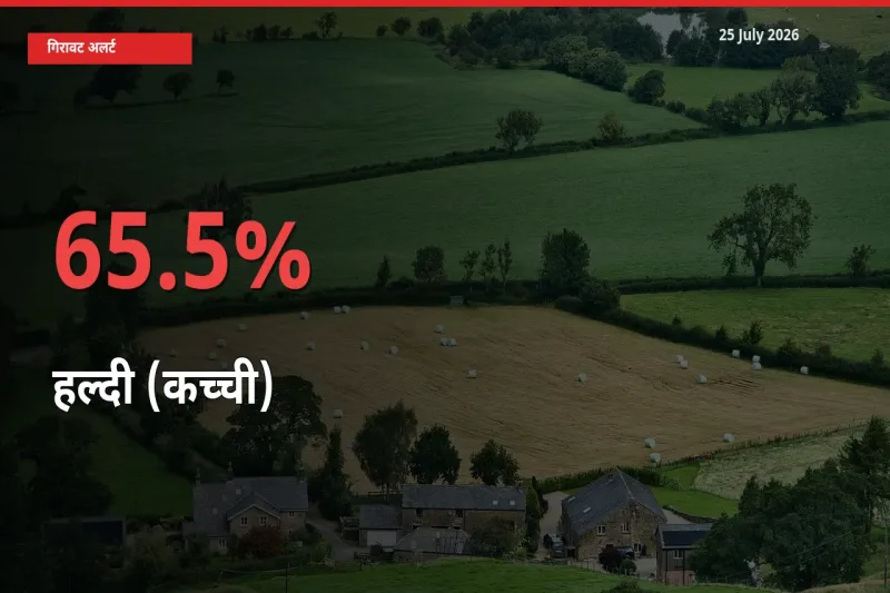 आज का मंडी भाव: हल्दी (कच्ची) के दाम मंडी में 65.5% नीचे