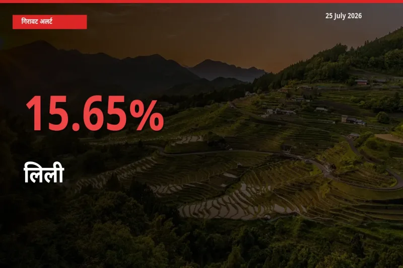 25 July अपडेट: लिली के दाम मंडी में 15.65% गिरे