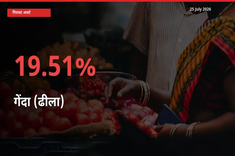 किसानों की चिंता बढ़ी! स्थानीय मंडी में गेंदा (ढीला) 19.51% गिरा