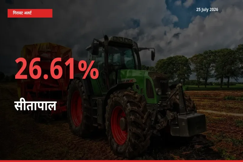 25 July अपडेट: सीतापाल के दाम मंडी में 26.61% गिरे