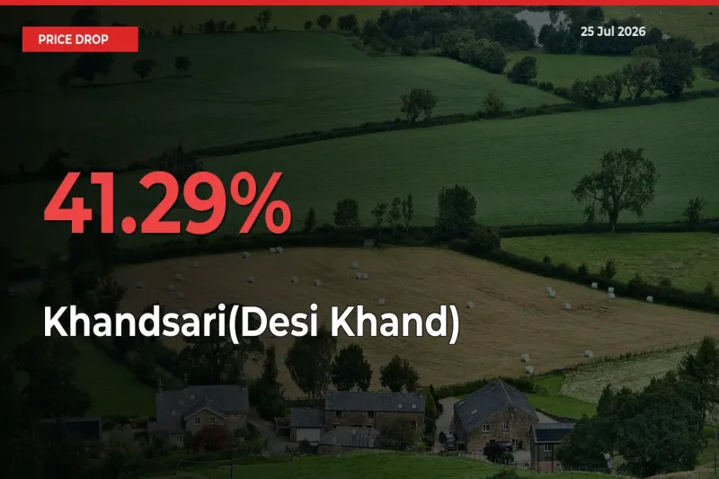 Farmers Alert as Khandsari(Desi Khand) Prices Slide 41.29% in Local Mandis