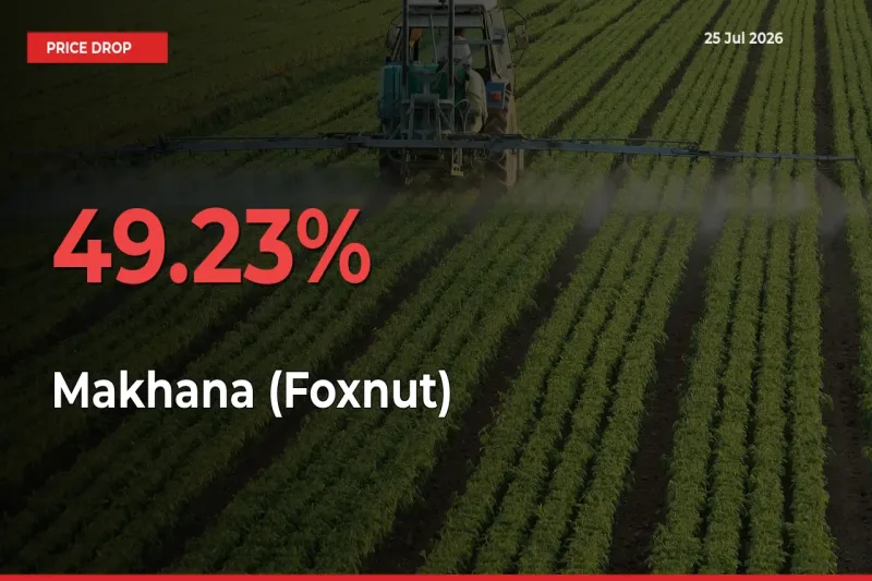 Farmers Alert as Makhana (Foxnut) Prices Slide 49.23% in Local Mandis