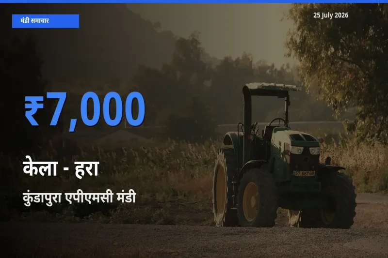 कुंडापुरा एपीएमसी में केला - हरा का आज सबसे ऊँचा भाव