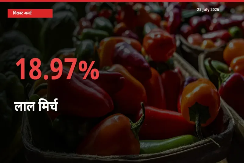 25 July अपडेट: लाल मिर्च के दाम मंडी में 18.97% गिरे