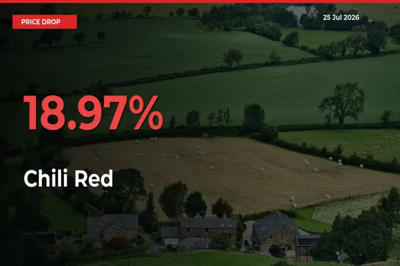 Chili Red Mandi Rate Today: Prices Fall 18.97% at Market