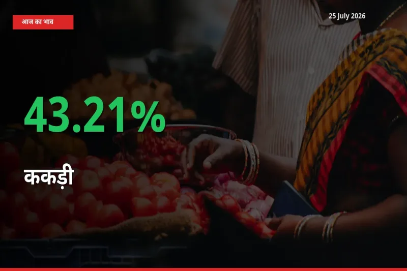 स्थानीय मंडी में ककड़ी के दाम अचानक 43.21% उछले, किसान सतर्क