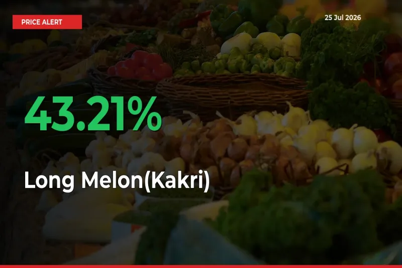 Farmers Cheer as Long Melon(Kakri) Prices Surge 43.21% in Local Mandis
