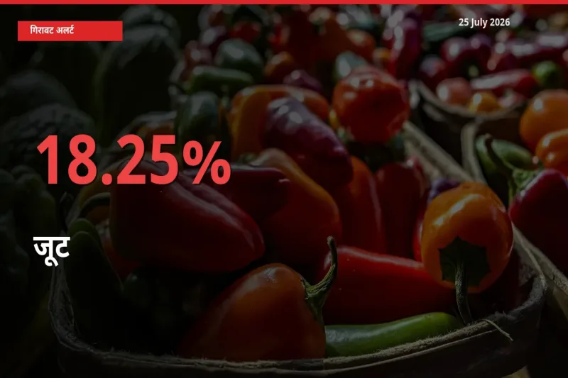 किसानों की चिंता बढ़ी! स्थानीय मंडी में जूट 18.25% गिरा