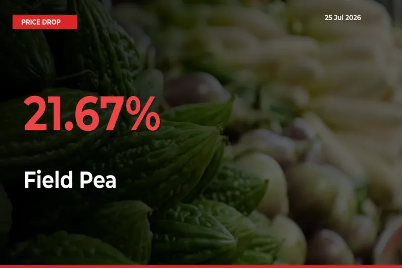 This Mandi Records 21.67% Fall in Field Pea Prices