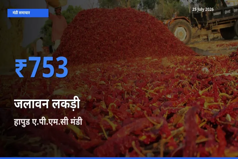 टॉप मंडी बना हापुड ए.पी.एम.सी! जलावन लकड़ी के सबसे ऊँचे दाम यहीं दर्ज