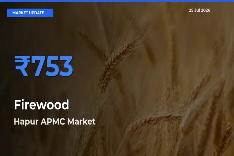 Hapur APMC Leads as Top Mandi for Firewood Prices