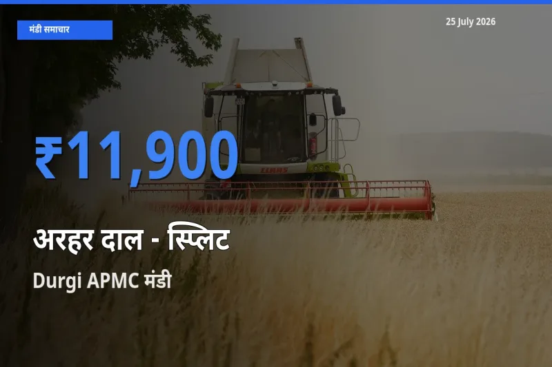 आज अरहर दाल - स्प्लिट के सबसे ज़्यादा दाम Durgi APMC मंडी में दर्ज