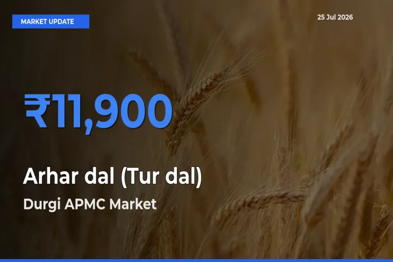 Durgi APMC Emerges as Top Mandi for Arhar dal (Tur dal) Prices Today