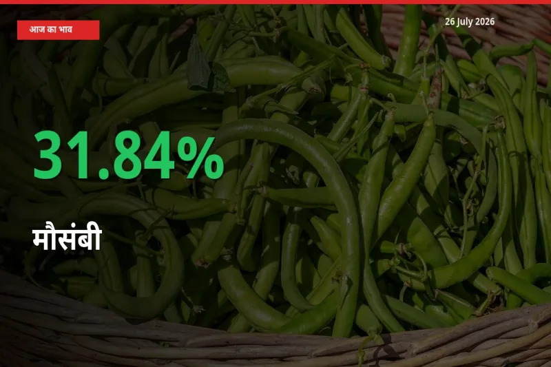 किसानों के लिए खुशखबरी! स्थानीय मंडी में मौसंबी 31.84% उछला