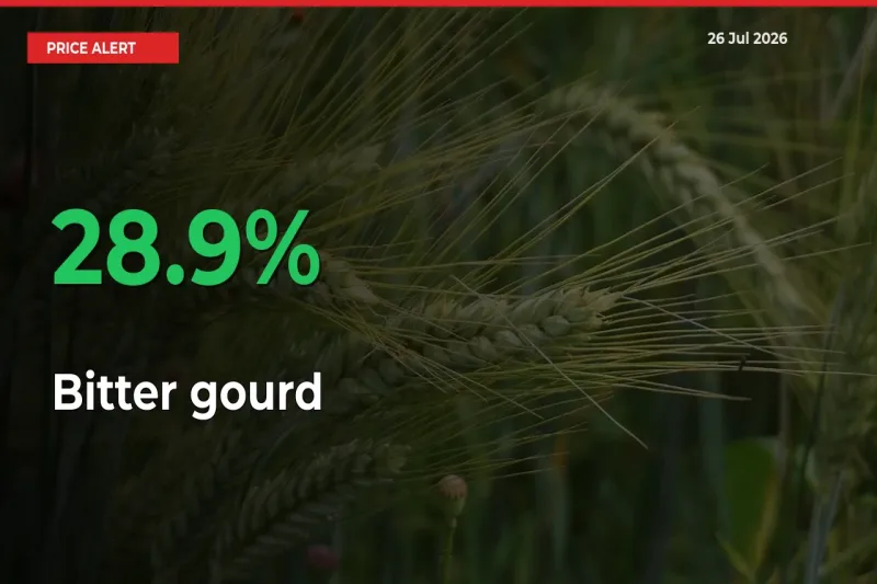This Mandi Records 28.9% Jump in Bitter gourd Prices