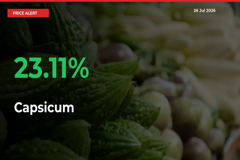 Big Rally! Capsicum Climbs 23.11% in 24 Hours at Top Mandis