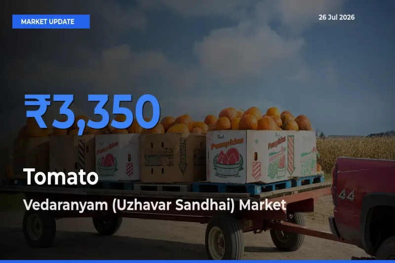 Vedaranyam (Uzhavar Sandhai) Leads as Top Mandi for Tomato Prices