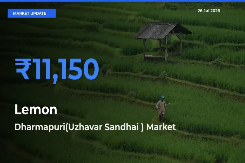 Dharmapuri(Uzhavar Sandhai ) Records Highest ₹11,150 Rate for Lemon
