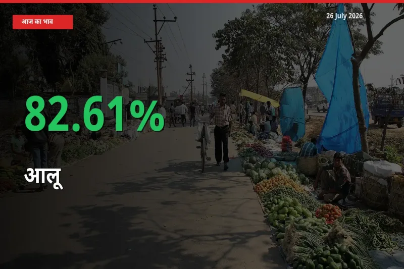 स्थानीय मंडी में आलू के दाम अचानक 82.61% उछले, किसान सतर्क