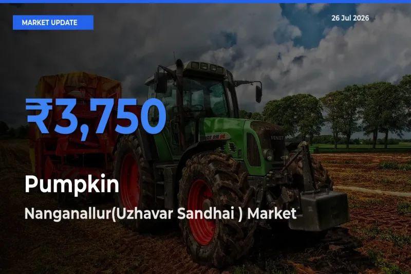 Nanganallur(Uzhavar Sandhai ) Emerges as Top Mandi for Pumpkin Prices Today