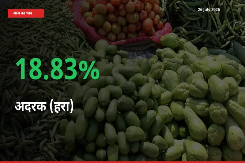 तेज़ तेजी! मंडी में अदरक (हरा) के दाम 18.83% चढ़े