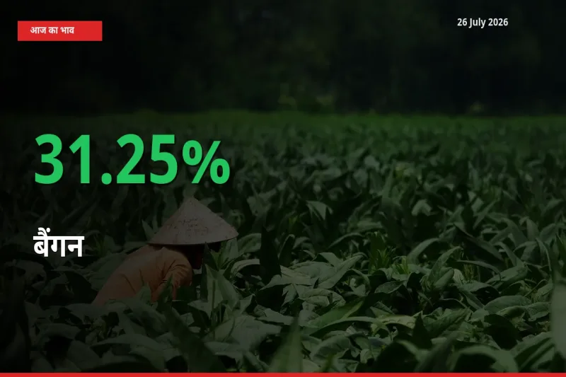 बैंगन 31.25% उछला, मंडी
