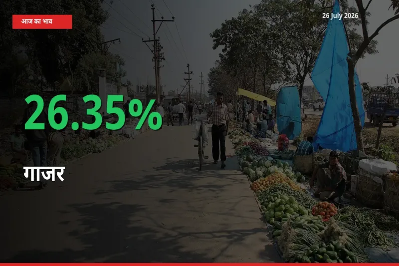 अचानक तेजी! मंडी में गाजर के दाम 26.35% चढ़े