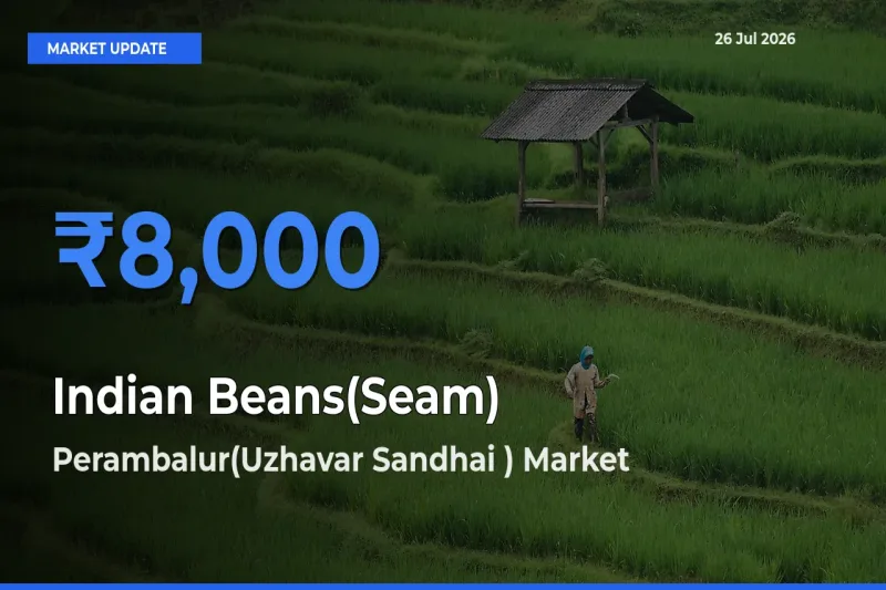 Farmers Prefer Perambalur(Uzhavar Sandhai ) as Indian Beans(Seam) Hits Highest Rate