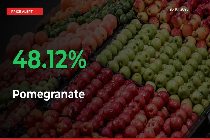 Big Rally! Pomegranate Climbs 48.12% in 24 Hours at Top Mandis