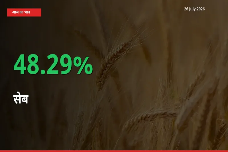 किसानों के लिए खुशखबरी! स्थानीय मंडी में सेब 48.29% उछला