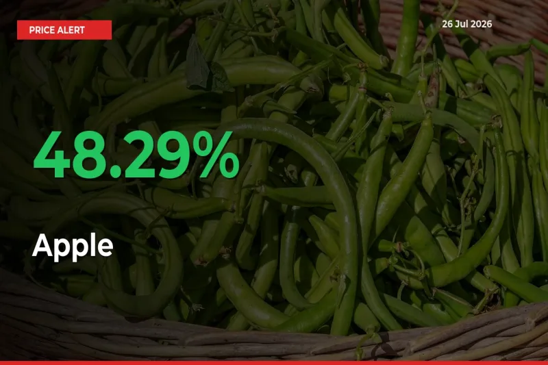 Apple Rises 48.29% at Mandis