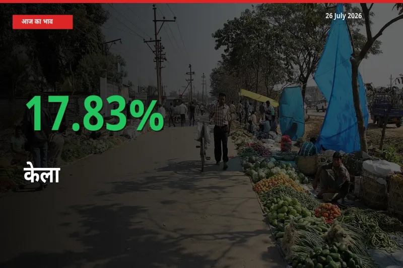 आज का मंडी भाव: केला के दाम मंडी में 17.83% ऊपर