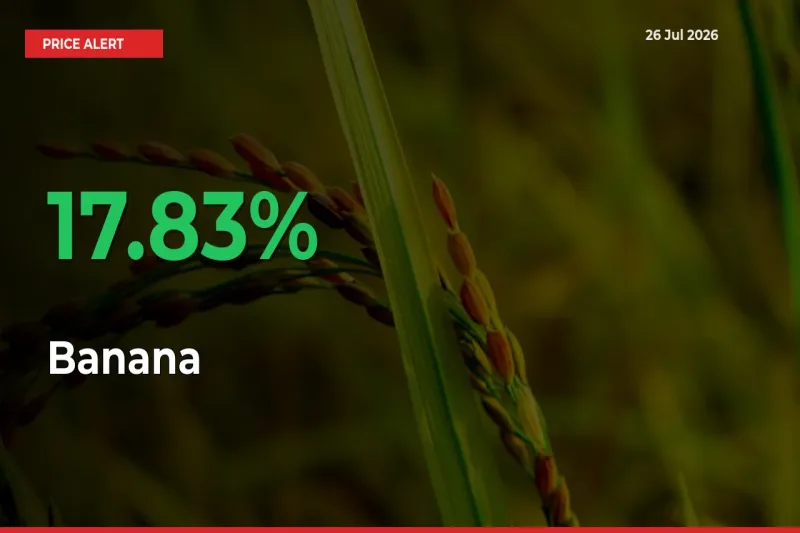 Farmers Cheer as Banana Prices Surge 17.83% in Local Mandis
