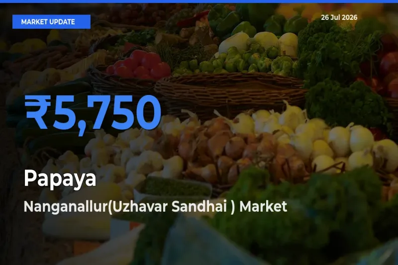 Top Performer! Nanganallur(Uzhavar Sandhai ) Offers Best Papaya Price Today
