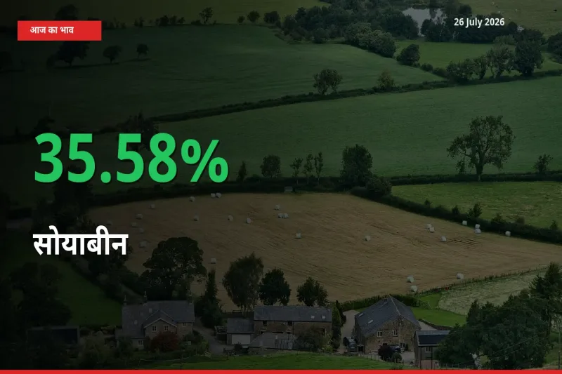 आज का मंडी भाव: सोयाबीन के दाम मंडी में 35.58% ऊपर