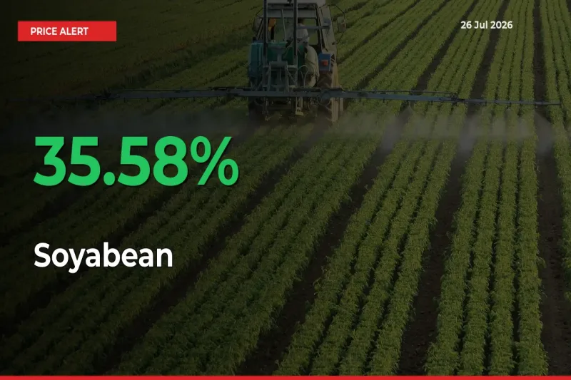 This Mandi Records 35.58% Jump in Soyabean Prices