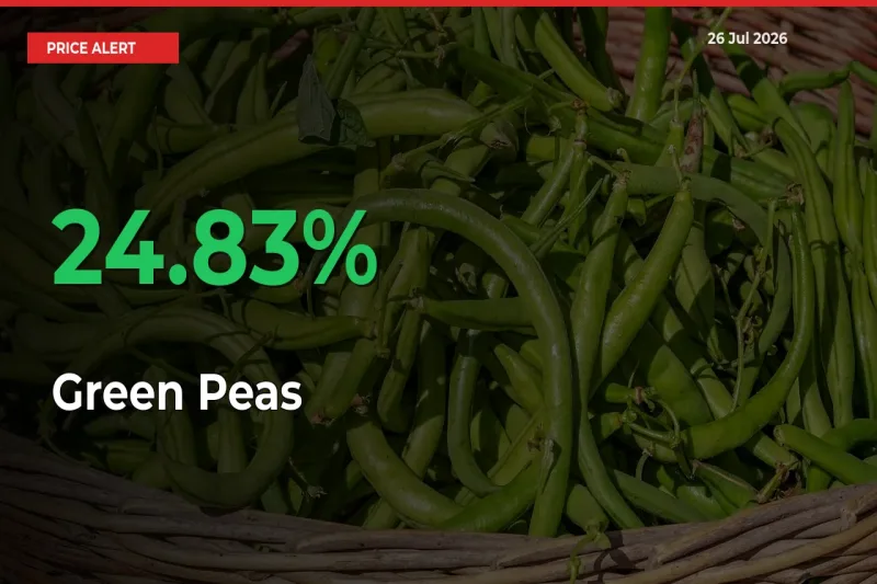 Green Peas Mandi Rate Today: Prices Jump 24.83% at Market