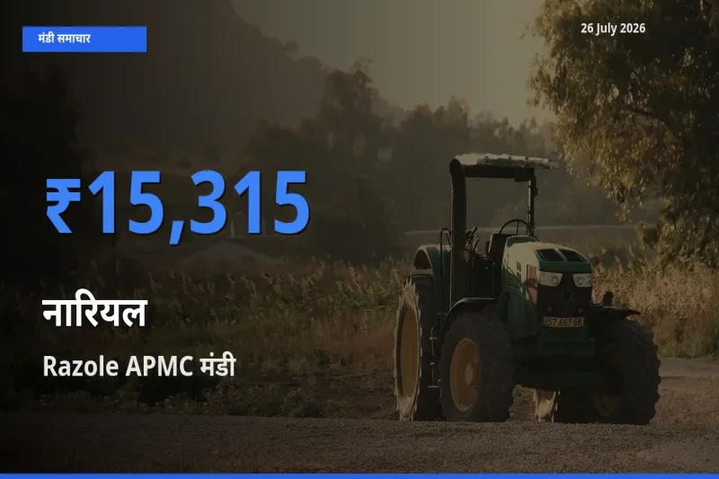 आज नारियल के सबसे ऊँचे दाम ₹15,315 Razole APMC मंडी में