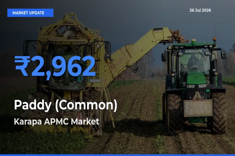 Karapa APMC Tops Paddy (Common) Mandi Rates Today
