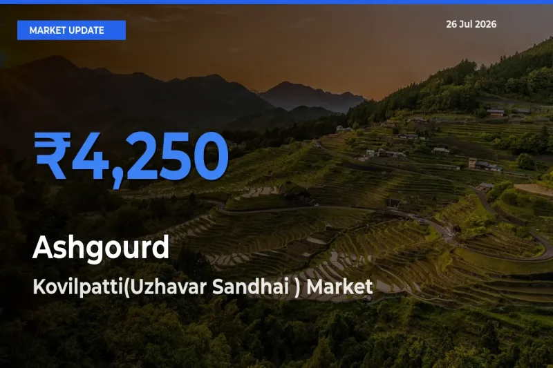 Kovilpatti(Uzhavar Sandhai ) Leads as Top Mandi for Ashgourd Prices