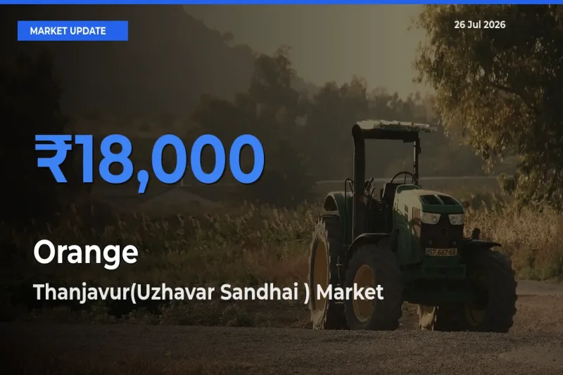 Thanjavur(Uzhavar Sandhai ) Records Highest ₹18,000 Rate for Orange