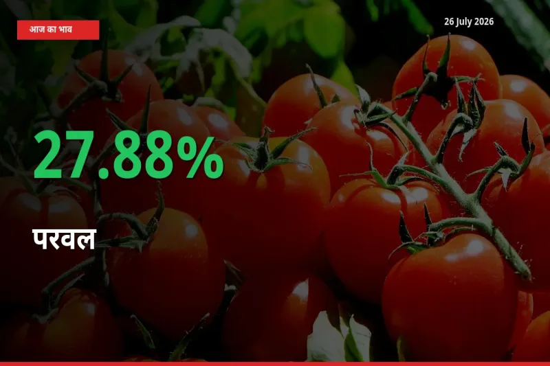 परवल के दाम प्रमुख मंडी में 27.88% बढ़े, 24 घंटे में बड़ा बदलाव