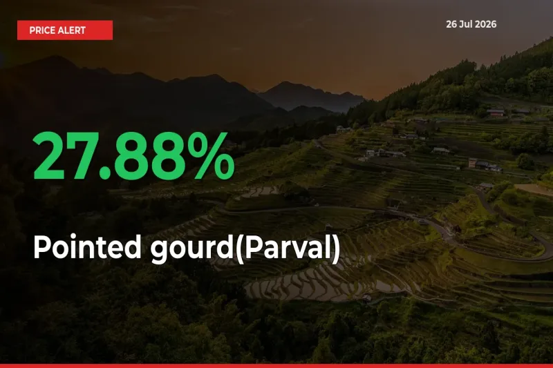 Sudden 27.88% Rally in Pointed gourd(Parval) Prices Across Mandis