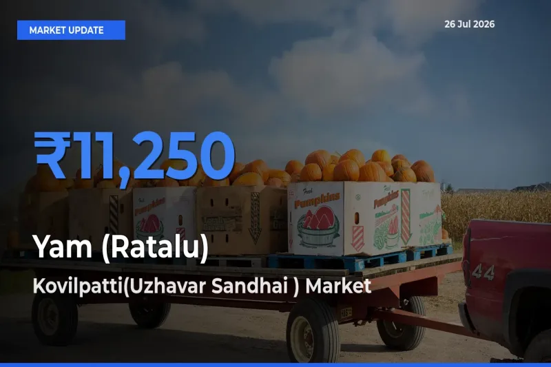 Kovilpatti(Uzhavar Sandhai ) Tops Yam (Ratalu) Mandi Rates Today