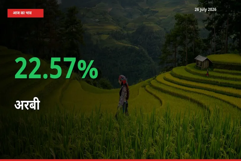 तेज़ तेजी! मंडी में अरबी के दाम 22.57% चढ़े