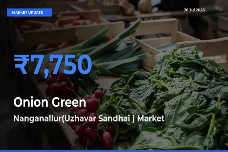 Market Watch: Nanganallur(Uzhavar Sandhai ) Becomes Top Mandi for Onion Green