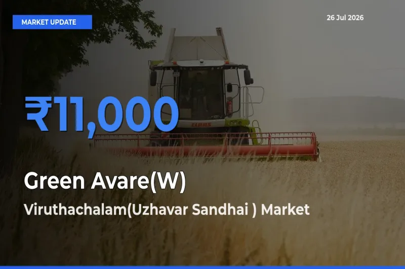 Viruthachalam(Uzhavar Sandhai ) Records Highest ₹11,000 Rate for Green Avare(W)