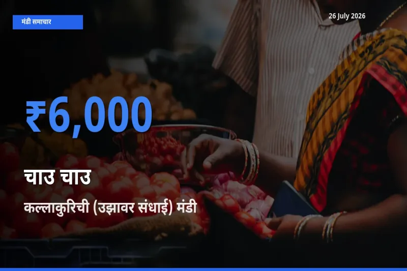 बाज़ार संकेत: कल्लाकुरिची (उझावर संधाई) बना चाउ चाउ के लिए आज की टॉप मंडी