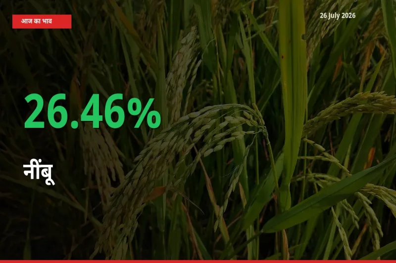 किसानों के लिए खुशखबरी! स्थानीय मंडी में नींबू 26.46% उछला