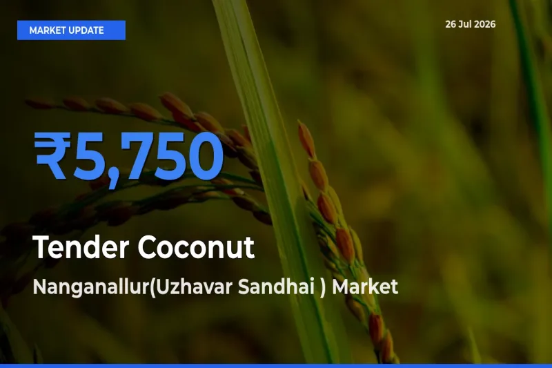 Nanganallur(Uzhavar Sandhai ) Tops Tender Coconut Rates – July 26 Market Update